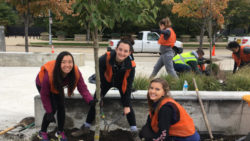 Photo of a Community Forestry Redbud Tree Planting