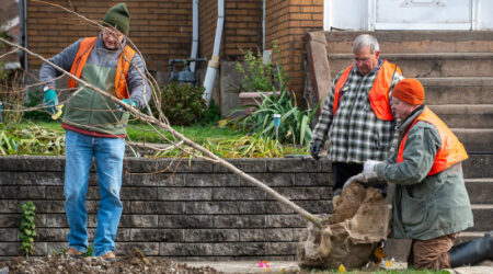 Photo of a Community Forestry Tree Planting