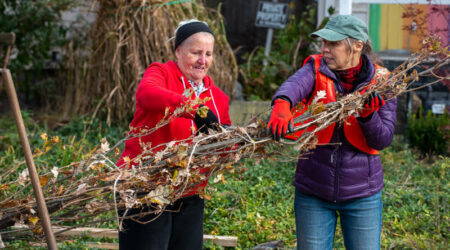Photo of a Community Forestry Tree Planting