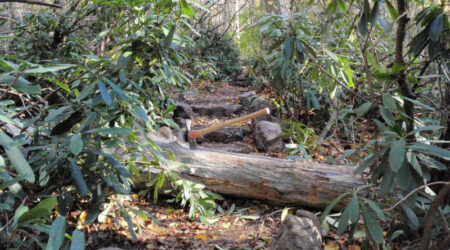 Photo of Bear Run Nature Reserve