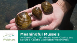 Cover Image for WPC Webinar - Meaningful Mussels