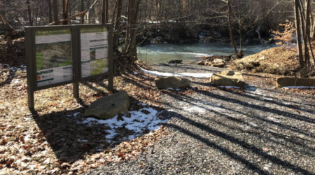 Photo of Bennett Branch Forest