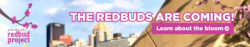 Pittsburgh Redbud Project banner