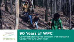 Cover Image for WPC Webinar - WPC at 90