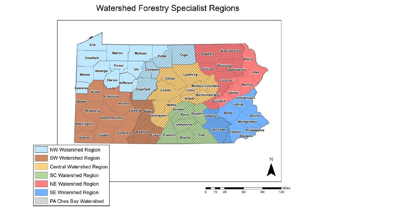 Watershed Forestry Specialist Regions Map