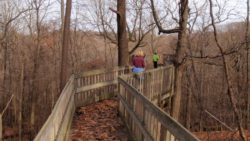 Photo of Beechwood Farms Nature Reserve observation deck in Fall