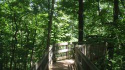 Photo of Beechwood Farms Nature Reserve observation deck in Summer