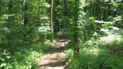 Photo of Beechwood Farms Nature Reserve trail