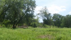 Photo of Beechwood Farms Nature Reserve field and trail