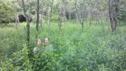 Photo of Bennett Branch Forest children in forest plants