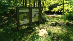 Photo of Bennett Branch Forest trail kiosk
