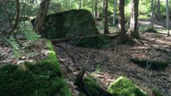 Photo of Dutch Hill Forest rock outcropping