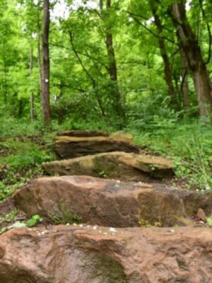 Photo of Joshua C. Whetzel, Jr. Memorial Recreation Area stone steps on trail