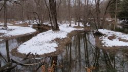 Photo of Helen B. Katz Natural Area stream bend in winter