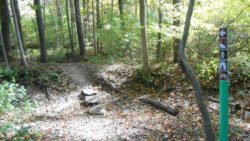 Photo of Lower Elk Creek Nature Reserve stream bank stepping stones on trail