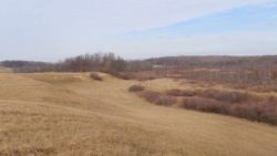 Photo of Miller Esker Natural Area hillside and wetland in fall