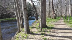 Photo of trail along river at Wolf Creek Narrows