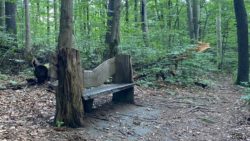 Photo of rustic bench along trail at Wolf Creek Narrows