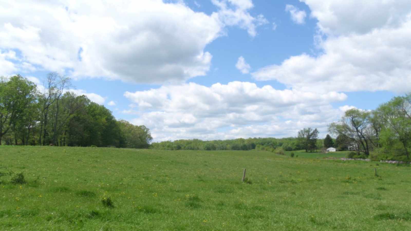 Plain Grove Fens Natural Area - Western Pennsylvania Conservancy