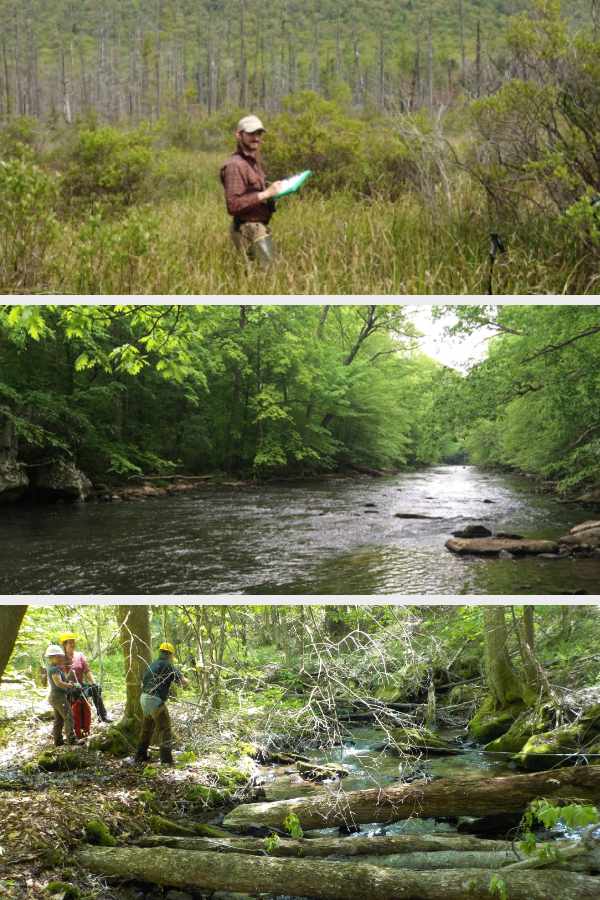Photo collage of WPC Strategic Initiatives in the area of Conserving Ecosystems