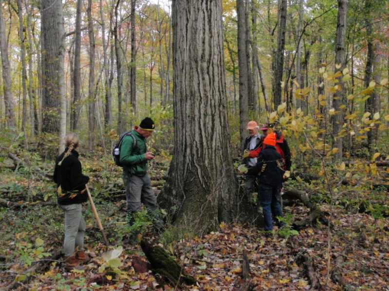 WPC Staff Favorite Moments Of 2022 Western Pennsylvania Conservancy   WPC Favorite Moments 2022 Charles At Plain Grove Fen@2x 