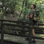 Hikers enjoy the lush green forest of Bear Run Nature Preseve as the walk across a wooden bridge over a ravine.