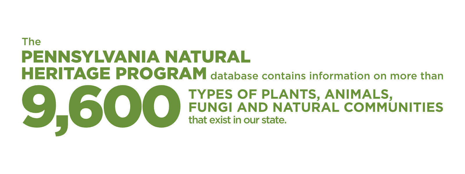 Text Infographic that reads "The Pennsylvania Natural Heritage Program database contains information on more than 9,600 types of plants, animals, fungi and natural communities that exist in our state."