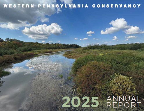 2025 Annual Report 