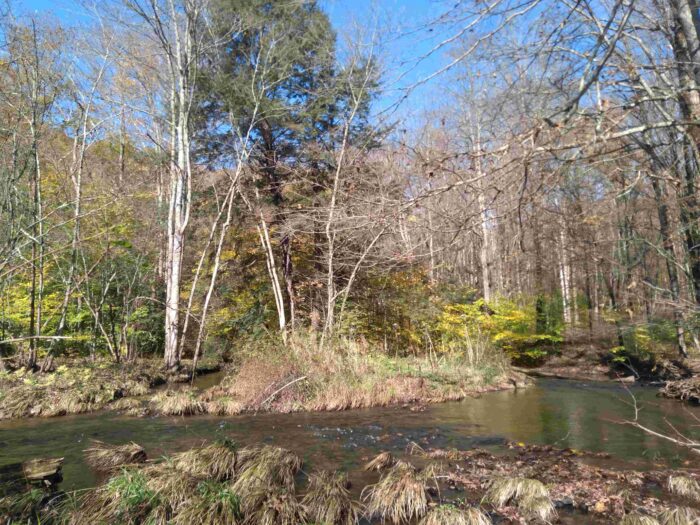 WPC Protects land along Nine Mile Run in Potter County for the State Forest System