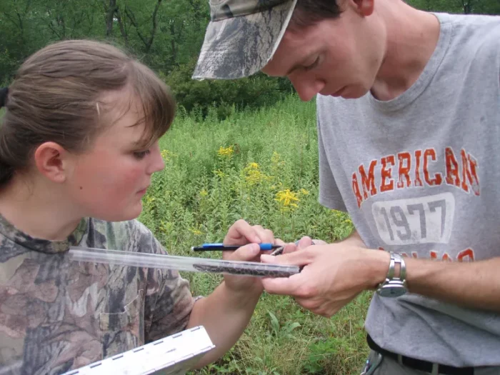 Two people inspect a snake while standing in the middle of a field. The front of the snake is inserted into a clear tube to inspect the snake as they take measurements for research purposes.