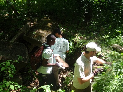 Volunteers remove invasive plants at WPC's Toms Run Nature Reserve in Allegheny County.