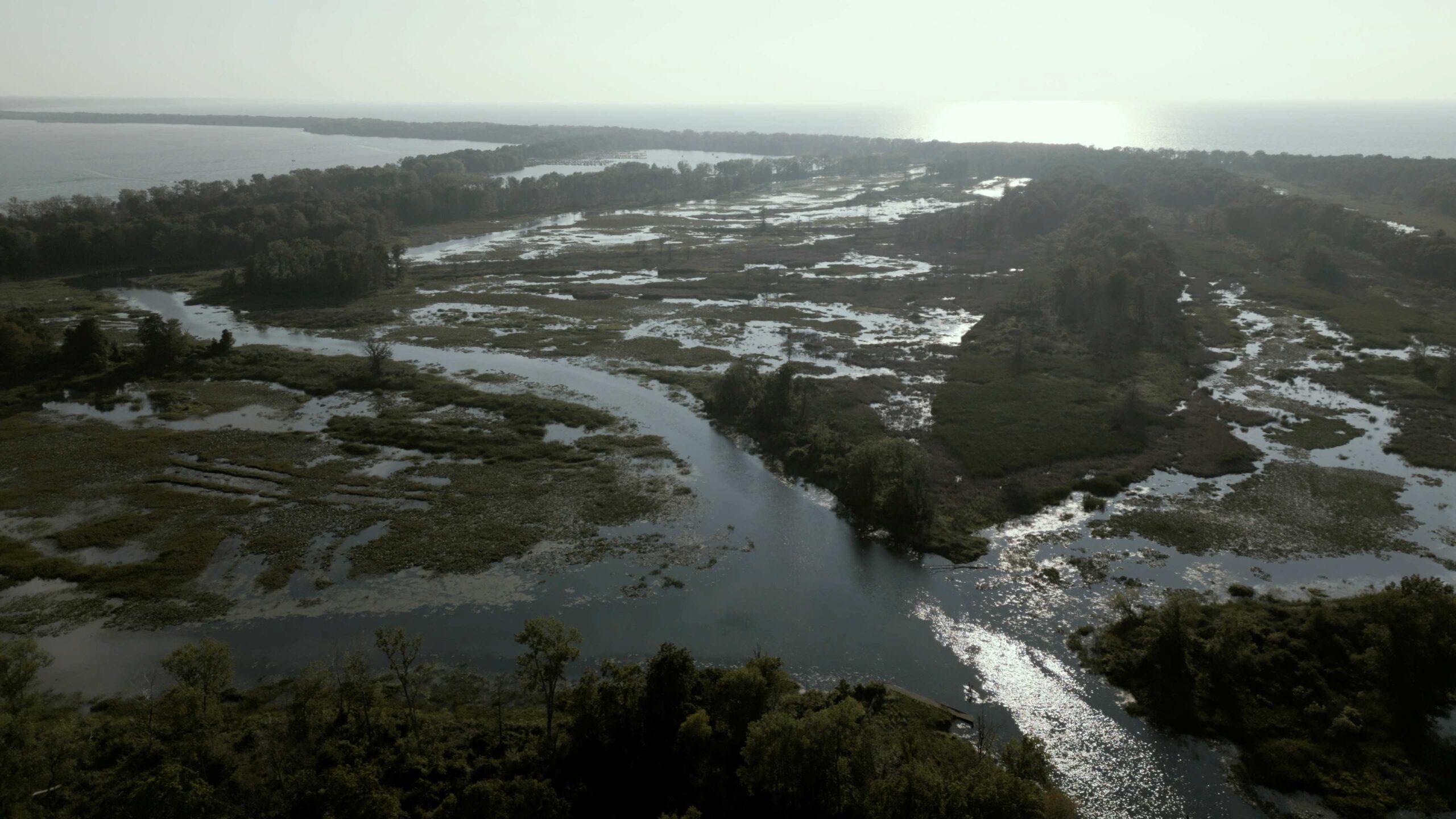 Presque Isle State Park in the film Seeing the Unseen