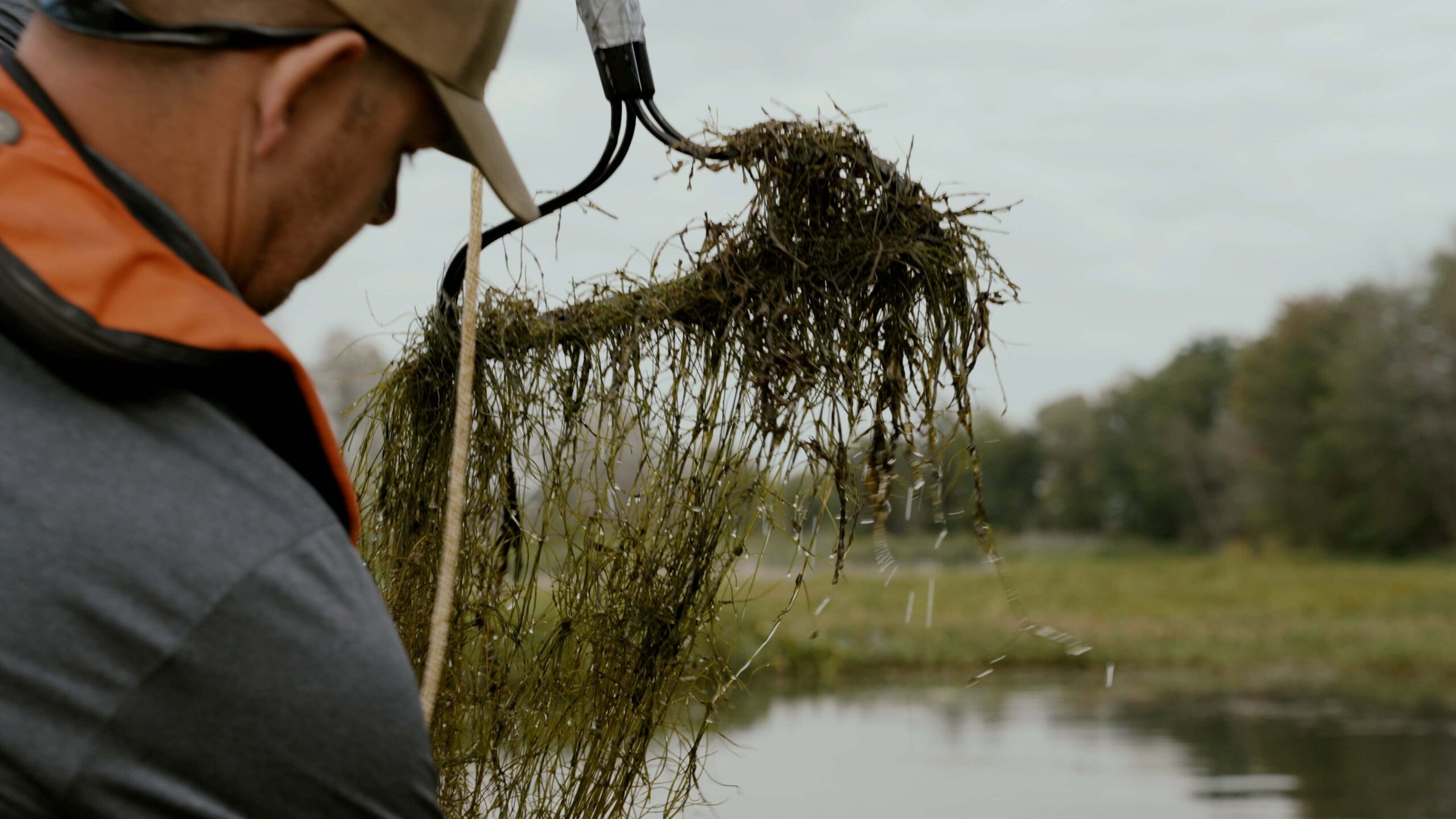 Stonewort Rake in the film Seeing the Unseen