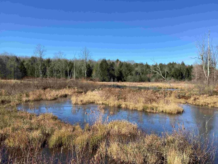 Donated Conservation Easement in Elk County Protects the Headwaters of Johnson Run
