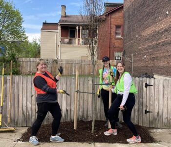 three friends near a recently planted tree