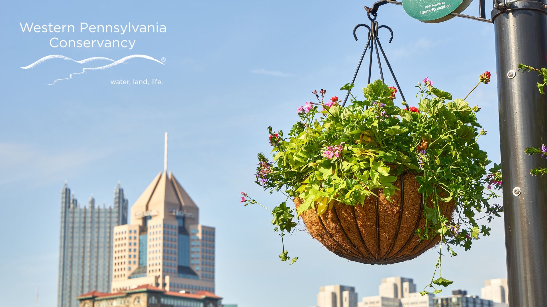 hanging basket with Pittsburgh skyline in background