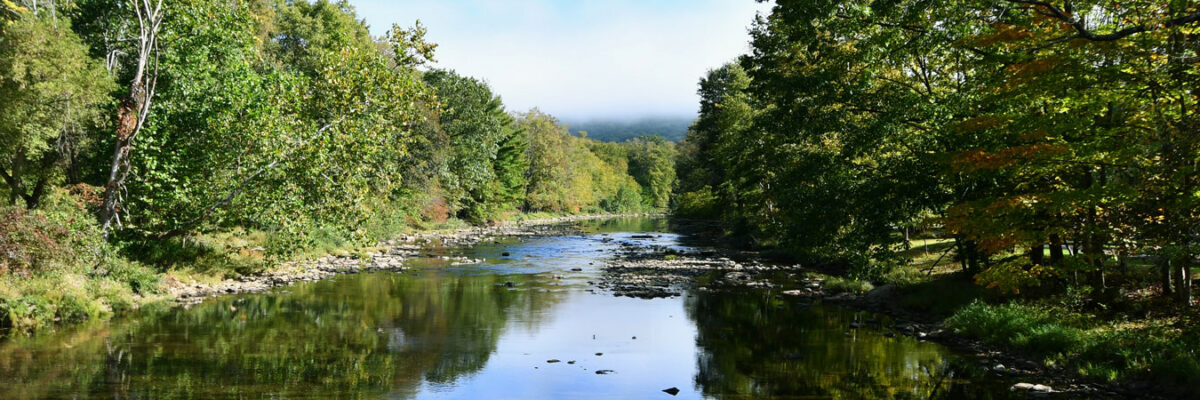 noText_WLL-Homepage-HERO-Spring-Land-2020-Blakeslee-1600x450-1