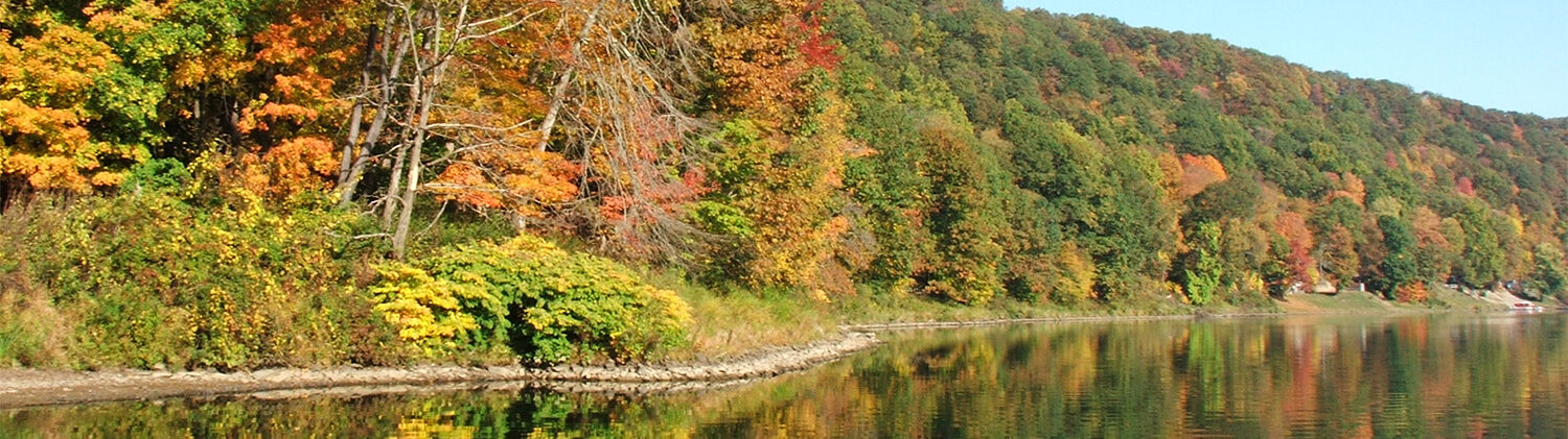 Allegheny river in the fall