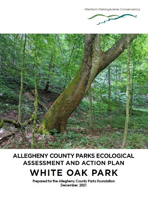 white oak park eco assessment cover