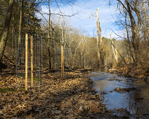 Deer Lakes Park