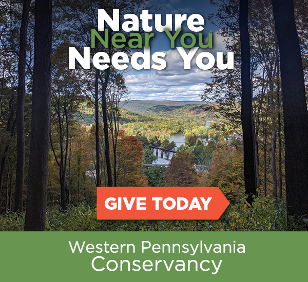 Nature Near You Needs You