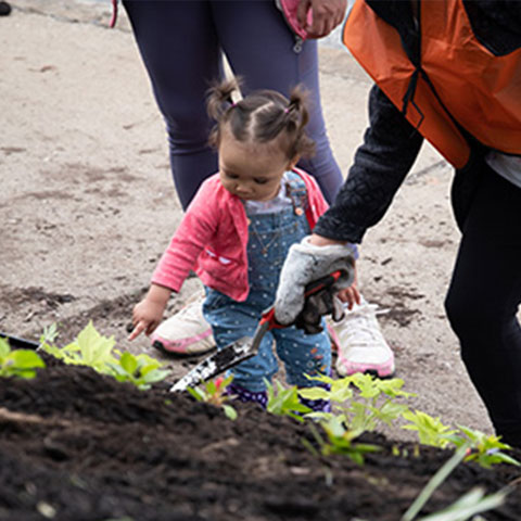 Community Garden and child