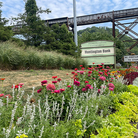 Huntingdon Bank Community Garden