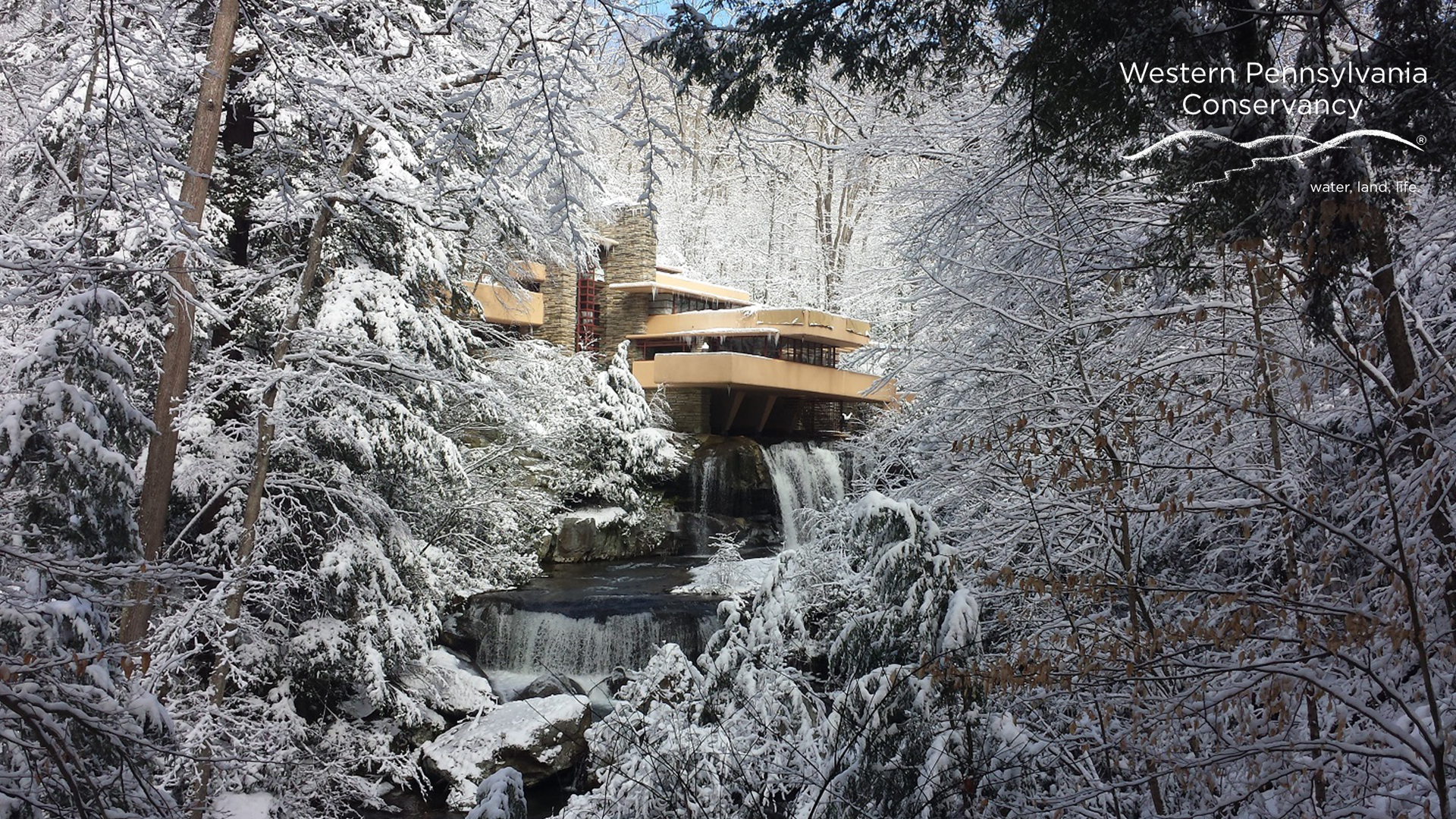 Fallingwater in winter