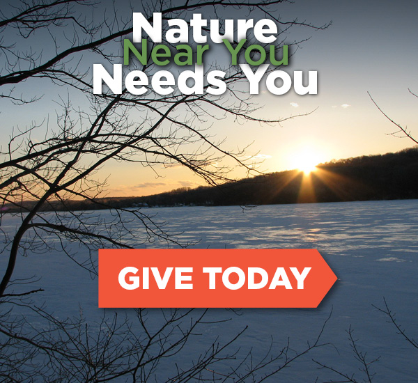 Nature Near You Needs You