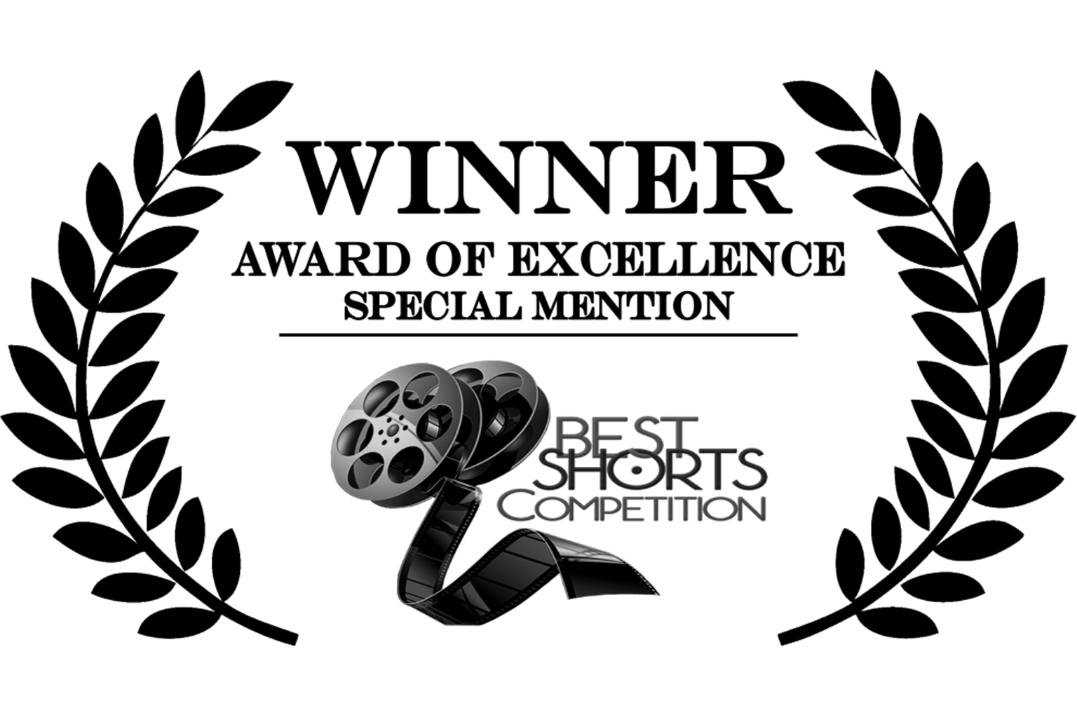 Winner of the award of excellence: Special Mention