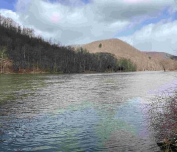 Easement Donation to WPC in Warren County along the Allegheny River