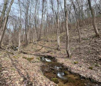 WPC land protected for Bear Run Nature Reserve