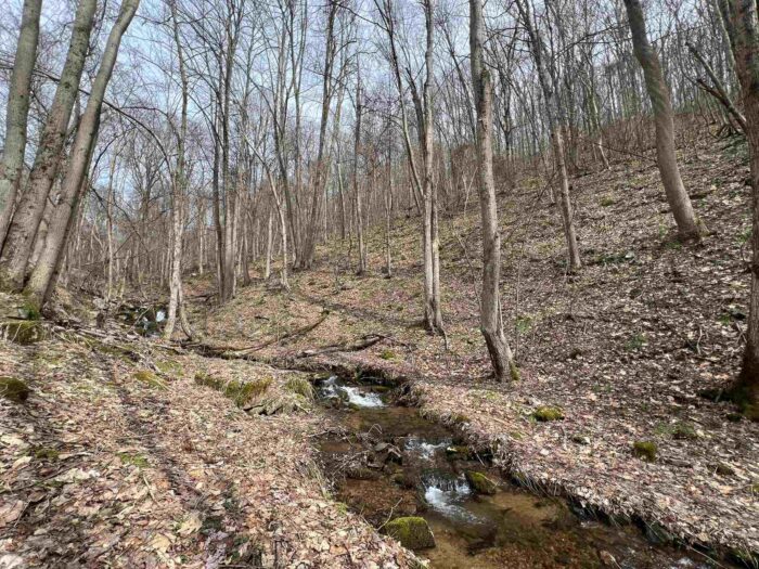 WPC land protected for Bear Run Nature Reserve