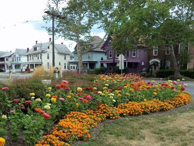 Tyrone Garden